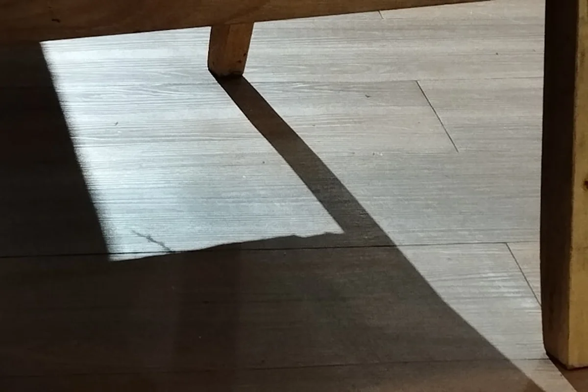 ルンバ i3+ vs Anker Eufy RoboVac 11S｜ペット対応力を実機比較